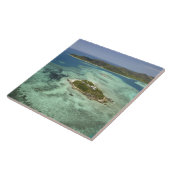 ワディジ島、ママヌカ諸島、フィジー タイル (側面)