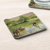 ワディ・ダーバット・オマーン コースター (左側)