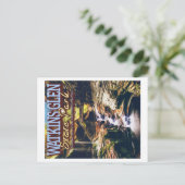 ワトキンズグレン州パーク – ニューヨーク統一された州 ポストカード (スタンド正面)