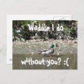 ワドル君がいないのか?:( ポストカード (正面/裏面)