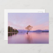 ワナカツリーサンライズ自然旅行写真 ポストカード (正面/裏面)