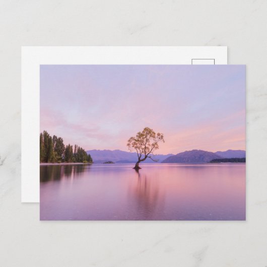 ワナカツリーサンライズ自然旅行写真 ポストカード (正面/裏面)