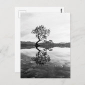 ワナカツリーニュージーランド風景写真 ポストカード (正面/裏面)