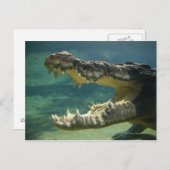 ワニが口を開く ポストカード (正面/裏面)