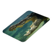 ワニが口を開く マグネット (左側)