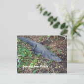 ワニが陸に上がる ポストカード (スタンド正面)