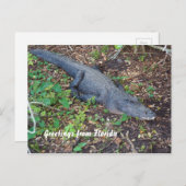 ワニが陸に上がる ポストカード (正面/裏面)