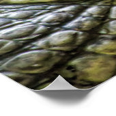 ワニにスマイルするな ポスター (角)