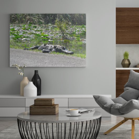 ワニのアリゲーター通り，フロリダ ポスター