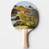 ワニのポートレート。フロリダワニ 卓球ラケット (裏面)