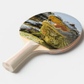 ワニのポートレート。フロリダワニ 卓球ラケット (正面アングル)