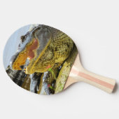 ワニのポートレート。フロリダワニ 卓球ラケット (横)