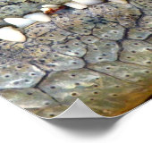 ワニのワニの歯のポスター ポスター (角)