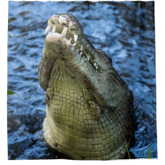 ワニの歯の水 シャワーカーテン (正面)