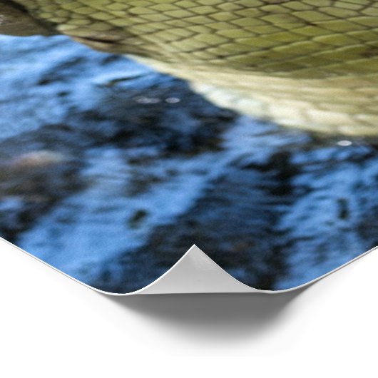 ワニの歯の水 ポスター (角)