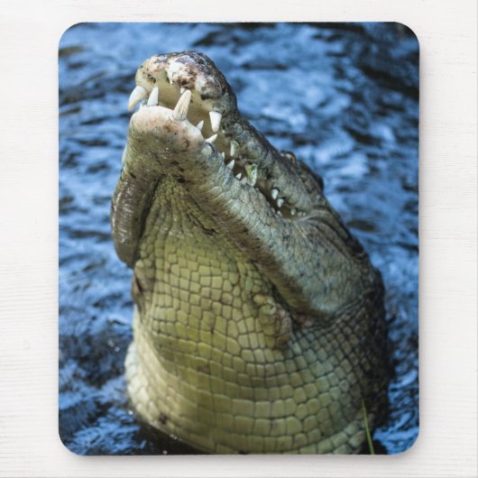 ワニの歯の水 マウスパッド (正面)