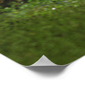 ワニの目 ポスター (角)