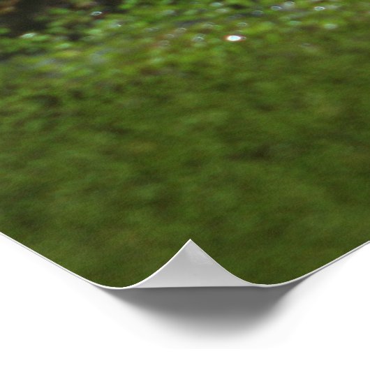 ワニの目 ポスター (角)