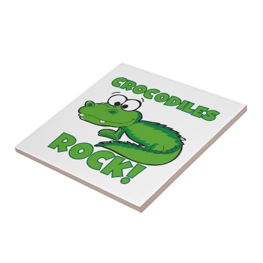 ワニの石 タイル (側面)