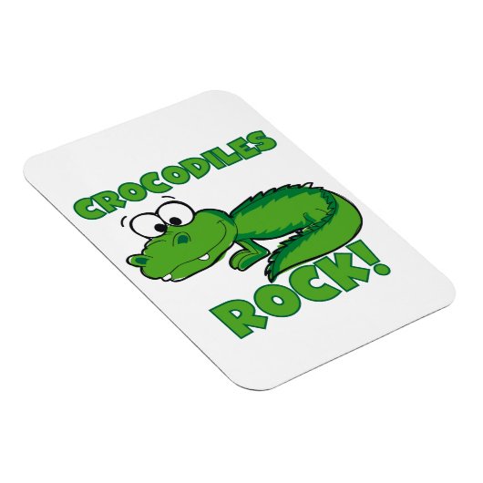 ワニの石 マグネット (右側)