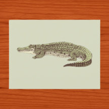 ワニの絵はがき