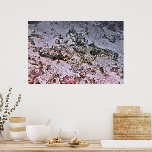 ワニの羽 ポスター (キッチン)