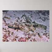 ワニの羽 ポスター (正面)