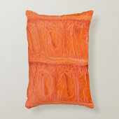 ワニの腹肌のテクスチャ背景。この画像 アクセントクッション (正面(垂直))