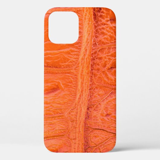 ワニの腹肌のテクスチャ背景。この画像 Case-Mate iPhoneケース (裏面)