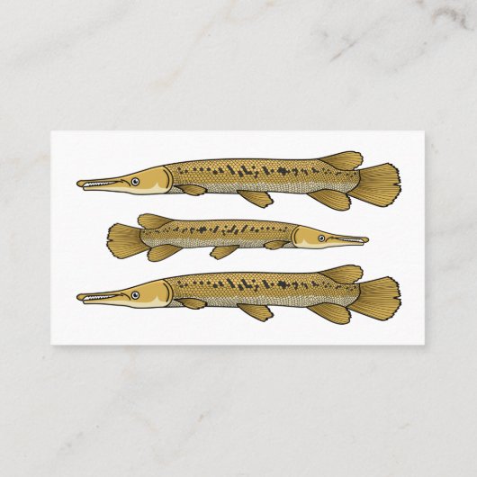 ワニの魚の漫画イラストレーション 名刺 (裏面)