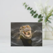 ワニはがき ポストカード (スタンド正面)