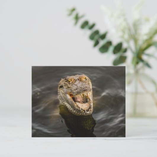 ワニはがき ポストカード (スタンド正面)