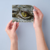 ワニ目顔動物のパーソナライズカスタムダイ チラシ (手)