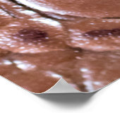 ワニ革のテクスチャ裏地抽象、ani ポスター (角)