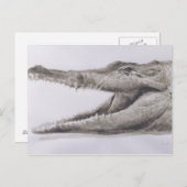 ワニ2005年 ポストカード (正面/裏面)