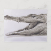 ワニ2005年 ポストカード (正面)