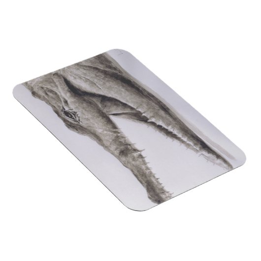 ワニ2005 マグネット (右側)