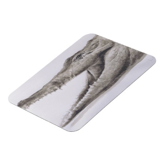 ワニ2005 マグネット (左側)