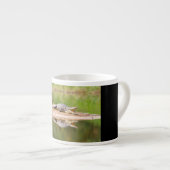 ワニ エスプレッソカップ (正面右)