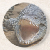 ワニ コースター (正面)