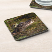 ワニ コースター (左側)