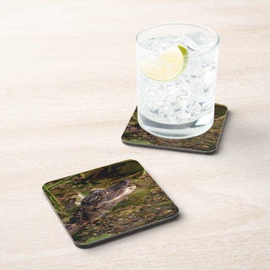 ワニ コースター (右側)