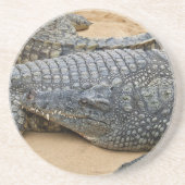 ワニ コースター (正面)