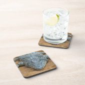 ワニ コースター (右側)