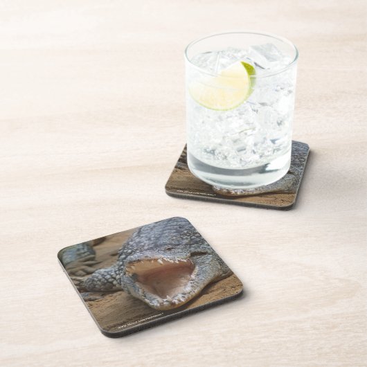 ワニ コースター (右側)