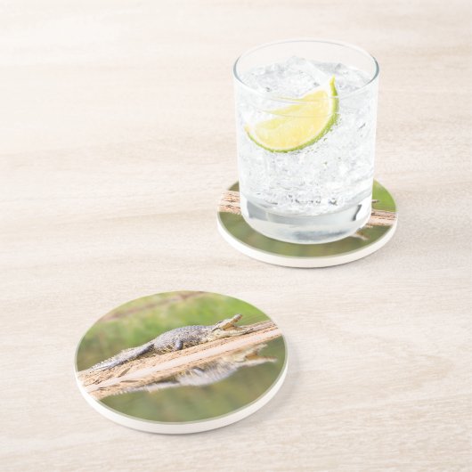 ワニ コースター (側面)