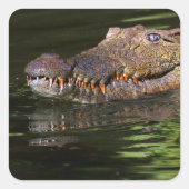 ワニ スクエアシール (正面)