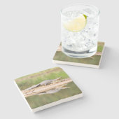 ワニ ストーンコースター (横)