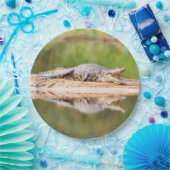 ワニ ペーパープレート (パーティー)