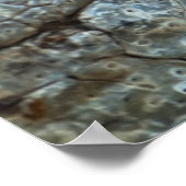 ワニ ポスター (角)